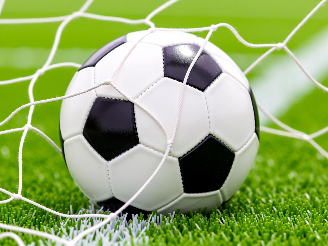 开云体育在线-CBA赛季赛程调整 保障球员健康，cba新赛季实行新防疫规定