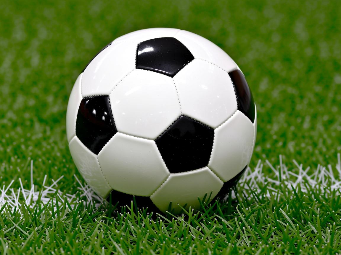 开云体育app注册-校园篮球推广计划覆盖两千余所中小学，校园篮球开展